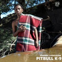 Imeko - Pitbull K-9 & BhutLegend