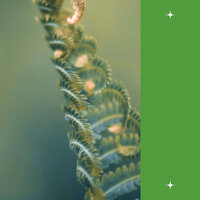 Paradise Like Jazz Saxophone - Vibe for Fresh Spring - Playful Jazz Beats