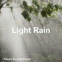 Light Rain Sounds Pt.4 - Nature Sounds Peace & Baby Sleep Sounds