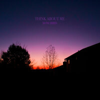 Think About Me - SongBird