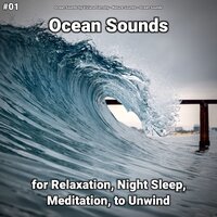 Ocean Sounds Part 26 - Ocean Sounds by Viviana Fernsby & Nature Sounds & Ocean Sounds