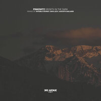 Growth in the Dark - Pinkowitz & Invisible Sounds