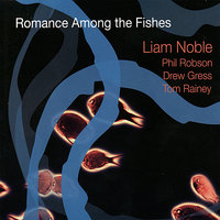 Romance Among the Fishes - Drew Gress & Tom Rainey & Phil Robson & Liam Noble