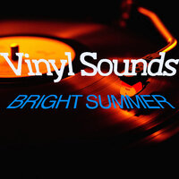 Calm Summer Night - Vinyl Sounds