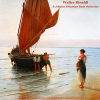 Autumn, For Solo Piano, In B Minor, Op. 3, No. 6: III. Andante - Walter Rinaldi