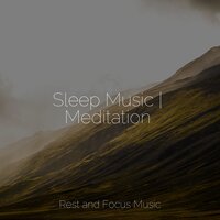 Arctic Wonders - The Sleep Helpers & Entspannungsmusik & Yoga Sounds