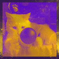 High Class Backdrops for Cozy Kittens - Music For Cats