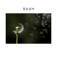 绿暗红稀 - 回忆音乐盒