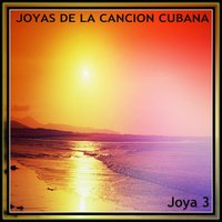 Habana a Flor de Piel - Sintesis