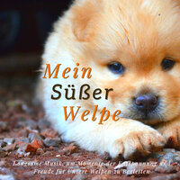 Starke Emotionen - Pet Care Relaxing Companion