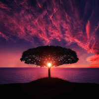 Wellness Advancements - The_Mountain