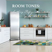 Soothing Refrigerator Humming Sounds, Pt. 20 - Nowak Sommer
