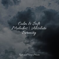 Background Calm - Musica relajante & Namaste Healing Yoga & Kinderlieder Megastars