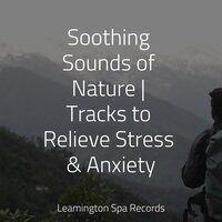 Unwind in the Tropics - Massage & Studying Music & Thunder Storm