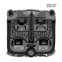 Lost Evidence - Dilated Pupils