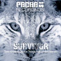 Survivor - Quique Tejada & Taao Kross & Soraya Naoyin & QUIQUE TEJADA, Taao Kross feat. Soraya Naoyin