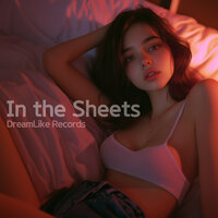 In the Sheets - DreamLike Records
