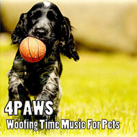Cuddling Music For Pets - Outdoor Field Recorders & Spa & Brainwave Samples