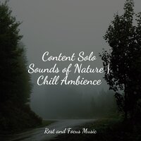 Amongst the Stars - White Noise for Baby Sleep & Alpha Brain Waves & White Noise Therapy