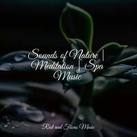 Tranquil Meditation - Deep Sleep Meditation & Ambiente & Namaste Yoga