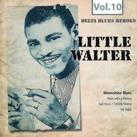 Moonshine Blues - Little Walter