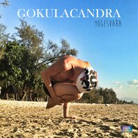 We - Gokulacandra