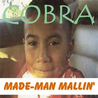 Evrythang They Said - Cobra