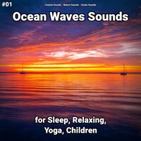 Ocean Waves Sounds Part 41 - Coastal Sounds & Nature Sounds & Ocean Sounds