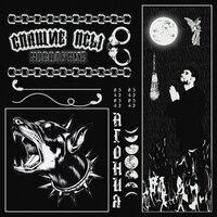 РАРИТЕТ - UMSY & dmtboy