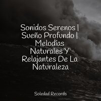 Mística a La Deriva - Escola de Meditação & Masajes Spas & Canciones Infantiles De Niños