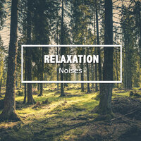 Australian Creek River - Relaxing Music for Meditation, Dr. Meditation, PowerThoughts Meditation Club & Powerthoughts Meditation Club & Dr. Meditation & Relaxing Music for Meditation