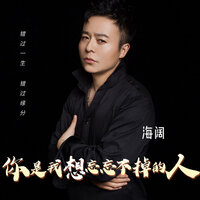 你是我想忘忘不掉的人 - 海阔