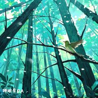 放松助眠 森林之声 - 睡眠SPA