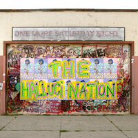 Remember 04 - The Halluci Nation & Chippewa Travellers & Re.verse