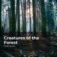 Birds in Whooshing Wind - Ambient Forest & Forest Sounds & Rainforest Sounds