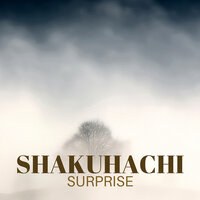Zen Atmosphere - Asian Meditation Music Collective