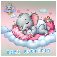 Bebé Prodigio - Elefantito Rey