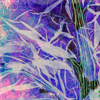 Concrete Flowers - Auditor