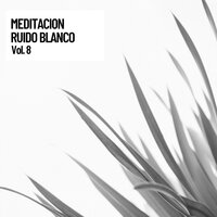 Digital Forest - Naturaleza Sonidos & Musica para Concentrarse & Musica relajante
