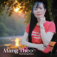 Ai Gieo Ân Tình - Tuyết Sương Bolero