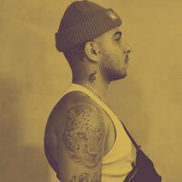 Flor de Lis - Sotero