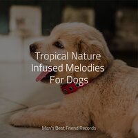 Stress Free Sounds - Music for Calming Dogs & Relaxation Music For Dogs & Jazz Music Therapy for Dogs