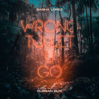 Wrong to Let U Go - Sasha Lopez & Florian Rus