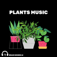 Plants Music, Pt. 13 - Brain Sounds AI