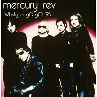 Car Wash Hair - Mercury Rev