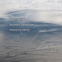 You Said It, Pt. 2 - Paul Davies & Laurent Desmurs & Francois Verly