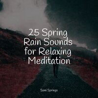 Droplets Fall - Natureza Musica Bem-Estar Academia & Sleep Music System & SleepTherapy