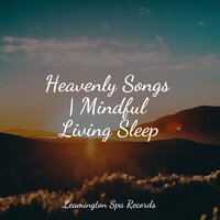 Calm Music - Anxiety Relief & Smart Baby Lullaby & White Noise Nature Sounds Baby Sleep