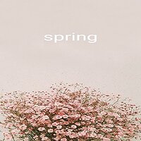 애니시다 - Seri