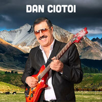 Noapte De Vis - Dan Ciotoi